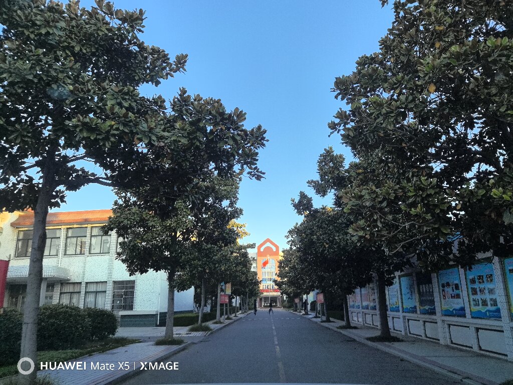 图片 /2015new/pic/9.jpg